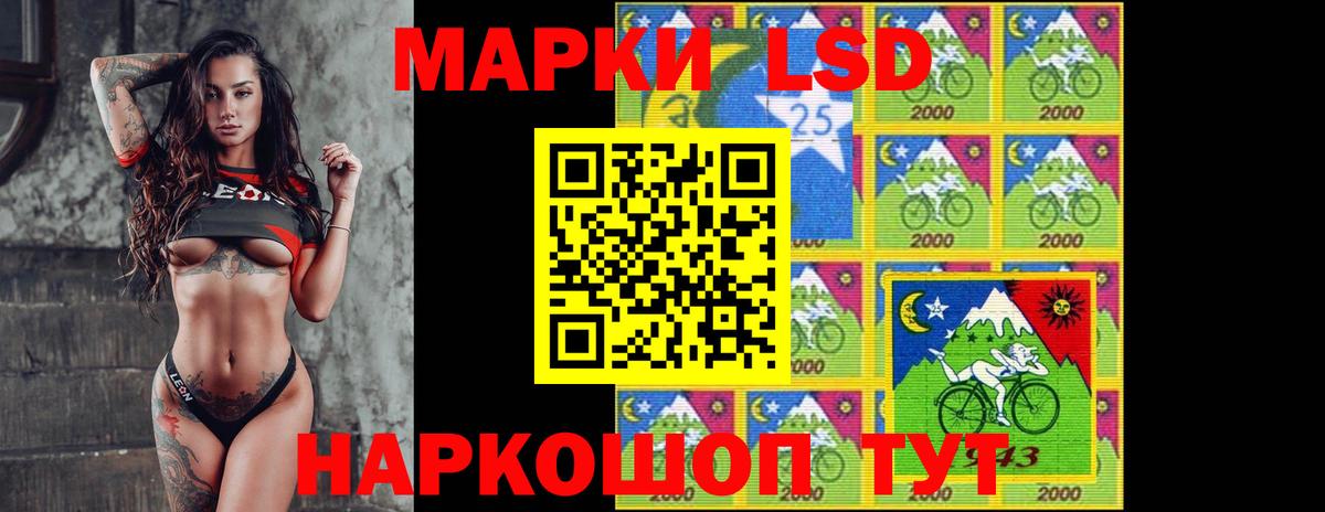 Новозыбков  LSD-25 экстази ecstasy  Вход с VPN  Лсд 25 экстази ecstasy 