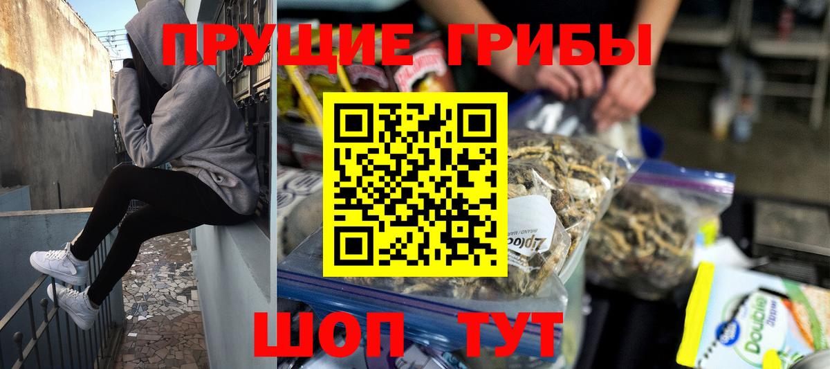 Псилоцибиновые грибы GOLDEN TEACHER  Вход с VPN  Новозыбков 